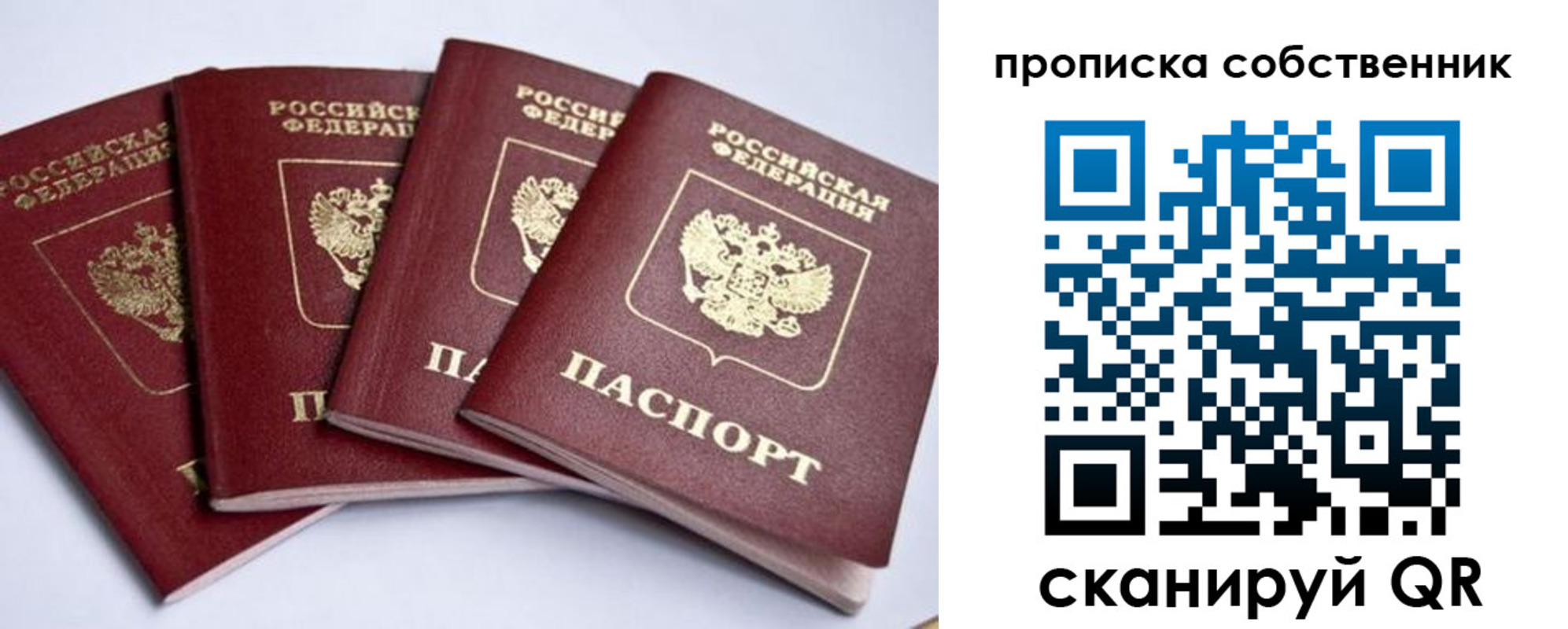 прописка для школы в Шуе